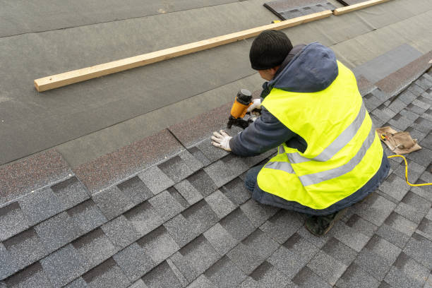 Best New Roof Installation  in Shannon, GA