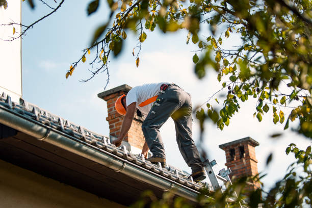 Roof Gutter Cleaning in Shannon, GA