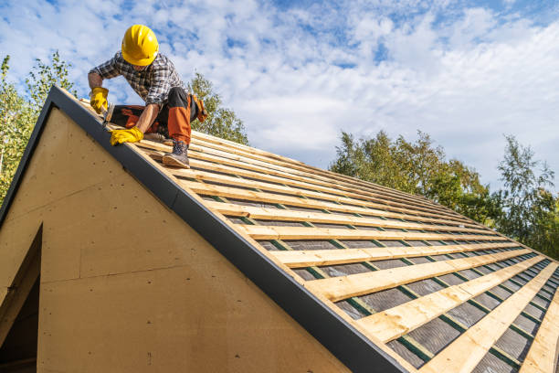 Best Roof Maintenance Services  in Shannon, GA